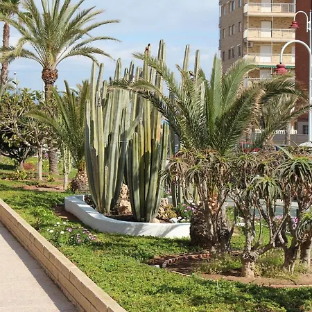 Apartment Arenales Arenales del Sol